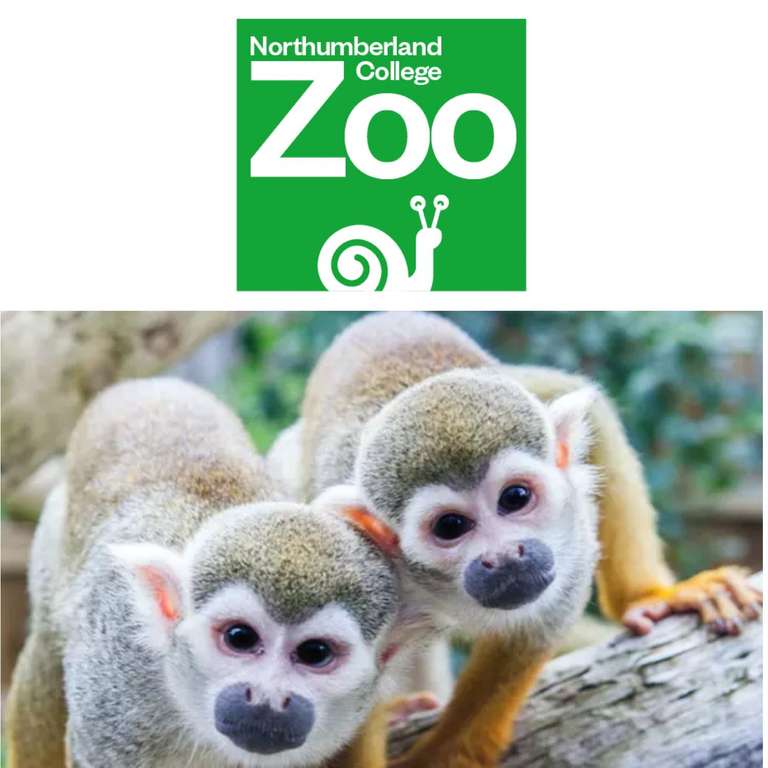 Northumberland College Zoo at Kirkley Hall Visit From £6.76 For One Child + 1 Adult / Family £12.71 With Code @ Groupon