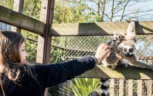 Wolds Wildlife Park - Half Price Adult & Family Passes £6.88 / £21