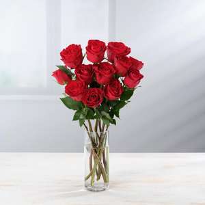 Dozen Red Roses Flowers - More Card Price - from 11/02
