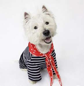 Joules Home Pet Harbour Top & Neckerchief Gift Set - Spot Stripe - One Size £11.95 free delivery @ Joules Outlet / eBay