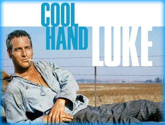 Cool Hand Luke (1967) Paul Newman 4K UHD to Buy (Digital)