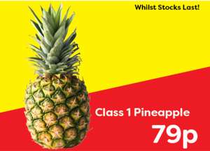 Pineapple Class 1