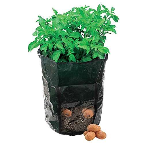 4x Potato Planting Bag, 360 x 510mm £1.70 each with a MOQ of 4 £6.80 @ Amazon