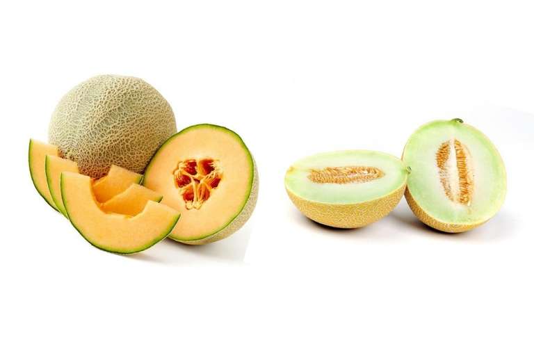 Whole Cantaloupe Melon / Whole Galia Melon