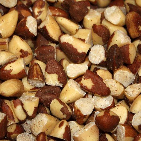 Wholefood Earth Broken Brazil Nuts 2 kg (extra 15% +10% off subscribe and save coupon)