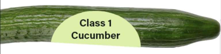 Whole Class 1 Cucumber 49p @ Farmfoods