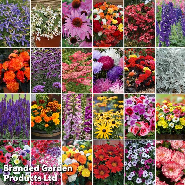 24 Plug Plants & 10 Packets Of Flower Seeds £2 + £6.99 Delivery @ Thompson & Morgan