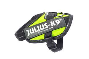 JULIUS-K9, 16IDC-NE-B2, IDC-Powerharness, Size: 2XS for Dog: 2-5 kg, Neon Green