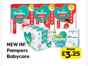 Pampers Babycare Pants
