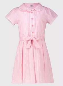 Pink Gingham Classic School Dress, Size 10 Years / 11+ £2.10 - Free C&C