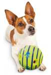JML Wobble Wag Giggle Ball dog toy £7.97 @ Asda
