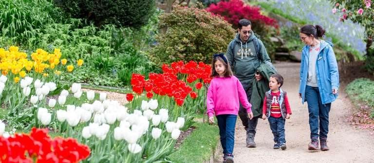 75,000 available - Free National Trust family day pass (single use) via Reach online e.g. Mirror - redeem by 14/06