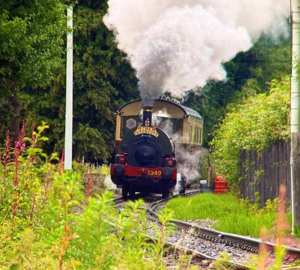 Didcot Railway - Family Pass