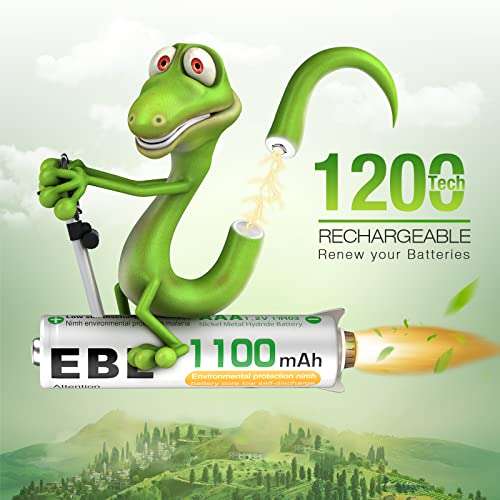 EBL Rechargeable AAA Batteries 1100mAh (16-Counts) High Capacity Performance Ni-MH AAA Batteries with Two Storage Cases - Sold by EBL Stores