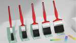 Mixed Paint Brush Set (Pack of 5)