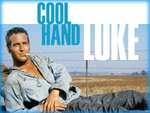 Cool Hand Luke (1967) 4K UHD £3.99 to Buy @ Amazon Prime Video