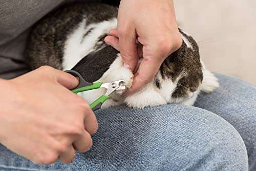 Trixie Nail Clipper for Rabbit and Small Rodent, 8 cm (Assorted colors) - £2.29 @ Amazon