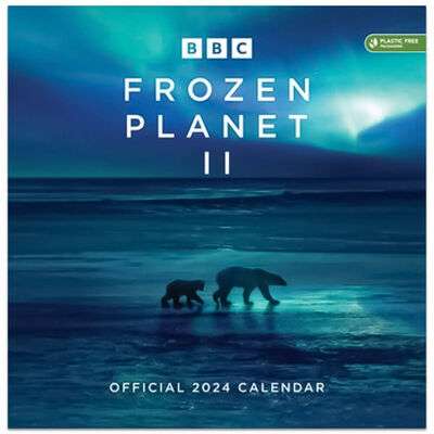 2024 Calendars - some include a diary