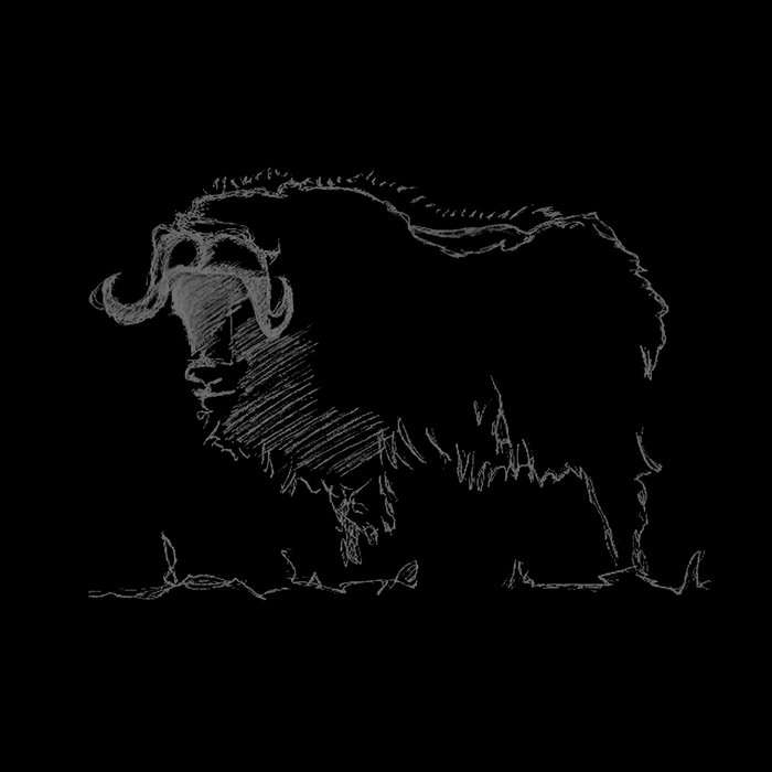 Free Album To Relax & Unwind - Musk Ox - Free Download @ Bandcamp