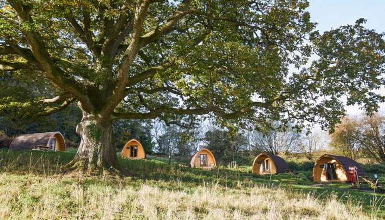 4* Whitemead Forest Park Forest of Dean: Glamping Megapod for 4 people,Adventure Golf, and Leisure Access 2 nights with code May/June/July