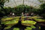 Ticket to Kew Gardens and Palace for One w/ code