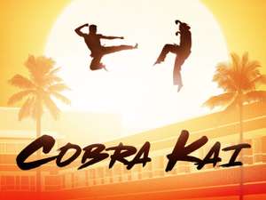 Cobra Kai: Season 1 (HD), Season 2 (SD) - £0.10 Each to Buy/Own @ Amazon Prime Video