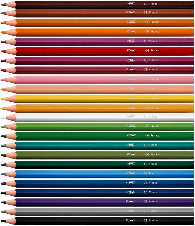 BIC Color Up Colouring Pencils - Assorted Colours, Pack of 12