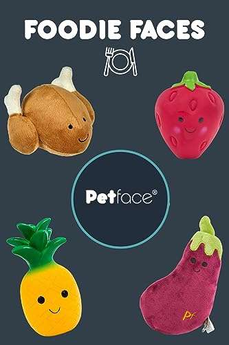 Petface Foodie Faces Roast Chicken Plush Dog Toy