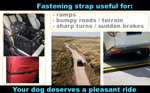 Waterproof Pet Dog /Cat Car Seat Booster Carrier w/ Seat Belt Harness Restraint & Headrest Strap - Sold By Go Buyer UK Ltd at Belfast FBA