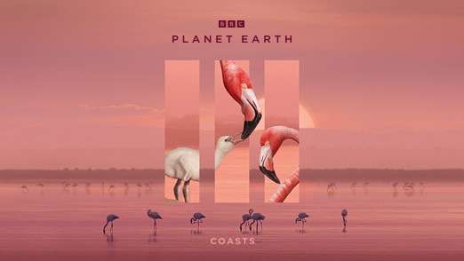 Free Planet Earth 3 double sided Poster