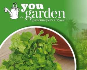 Free* grow your own herbs kit £6.99 delivery @ Daily Mail subscription or purchase