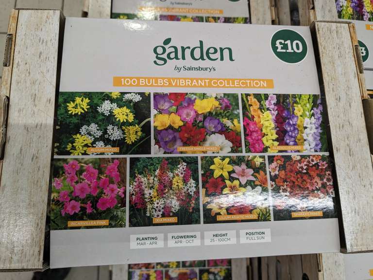 100 Garden Bulbs Vibrant collection only £2.50 @ Sainsbury's Weston-Super-Mare