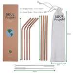 Soul Projekt 8pk Stainless Steel Drinking Straws in Rose Gold, with 2 Cleaning Brushes & Storage Bag Sold By Buydefinition / FBA