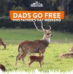 Father's day Knowsley Safari 15th / 16th June - Dad's free entry with purchase of child ticket