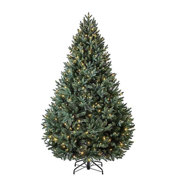 7ft Blenheim Pine Pre-lit Premium Christmas Tree £180 Free Collection in Limited Locations @ Homebase