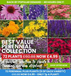 72 Perennials - Limited Time Deal
