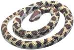 Wild Republic 53114 Python Rock Rubber Snake, Brown/Beige, 66 cm