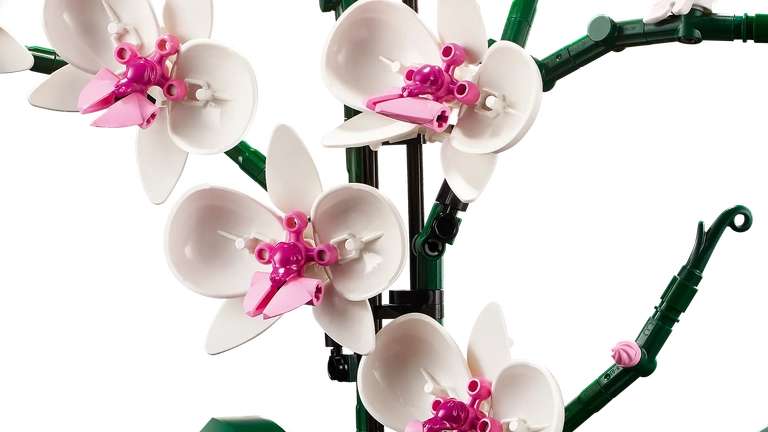 LEGO Icons Orchid Plant & Flowers Set 10311 - £30 Free Click & Collect @ George (Asda)