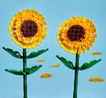LEGO 40524 Sunflowers. Free click and reserve at stores. Check availability