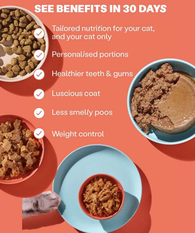 Republic of Cats - Taster box for 15 days - 15 or 30 tins of wet food+dry food - £1.50 and free delivery with code @ Republic of Cats