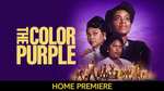 The Colour Purple (2023) 4K UHD - to buy/own (cheaper than rental price)
