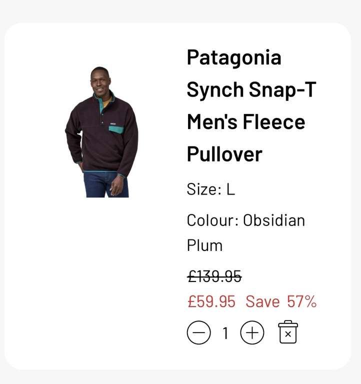 PATAGONIA Synchilla Snap-T Fleece Pullover