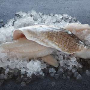 Cod Fillet From Fish Counter £12.99 Per kg Further 20% off For Fish Friday (£10.41 per kg) With More Card