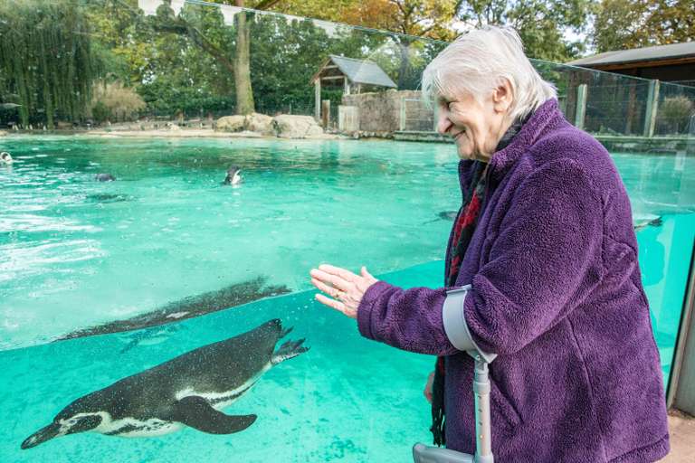 London & Whipsnade Zoo - Tickets from £3pp / Visitors with additional needs £6.50pp + Those over the age of 60 at risk (Criteria applies)