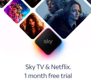 Sky TV & Netflix 1 month free trial - Renews automatically at £31 a month unless cancelled - New Customers