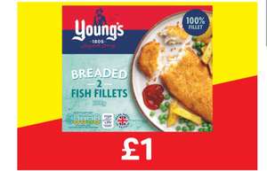 Young's Breaded 2 Fish Fillets 200g