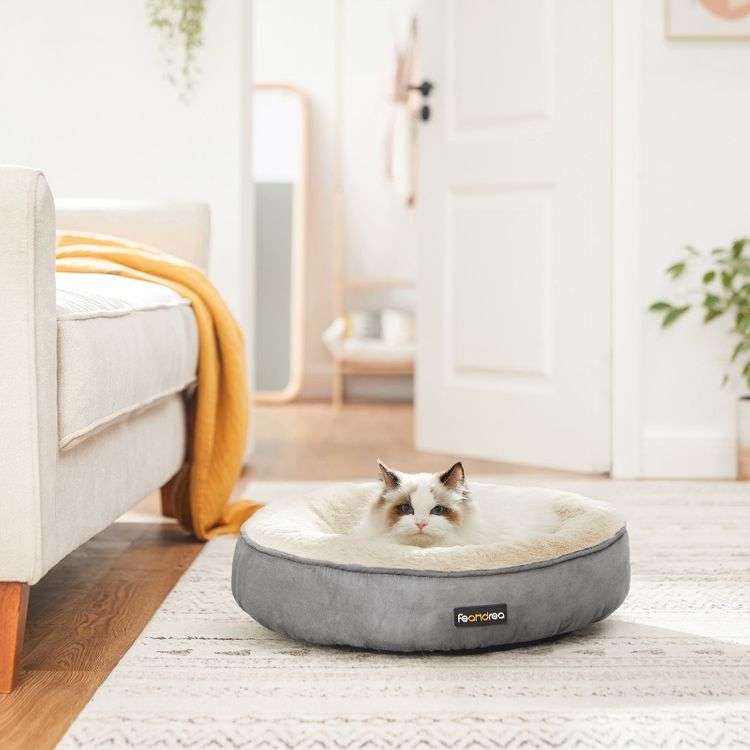 FEANDREA Donut Shaped pet bed 55 cm wide in Dark Grey with removable cushion for £8.99 delivered using code @ Songmics