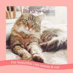 Burgess Dry cat food for Adult cats Salmon 1.5kg £3.60 @ Amazon