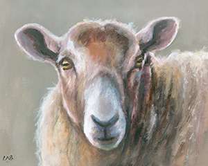 Louise Brown "Looking Sheepish" Canvas Print, Cotton, Multi-Colour, 3.20 x 40.00 x 50.00 cm