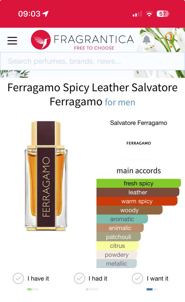 ferragamo spicy leather notino